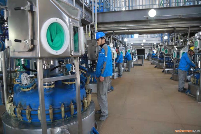 数字时代的舵手：大数据平台建设在各行业的应用与演变