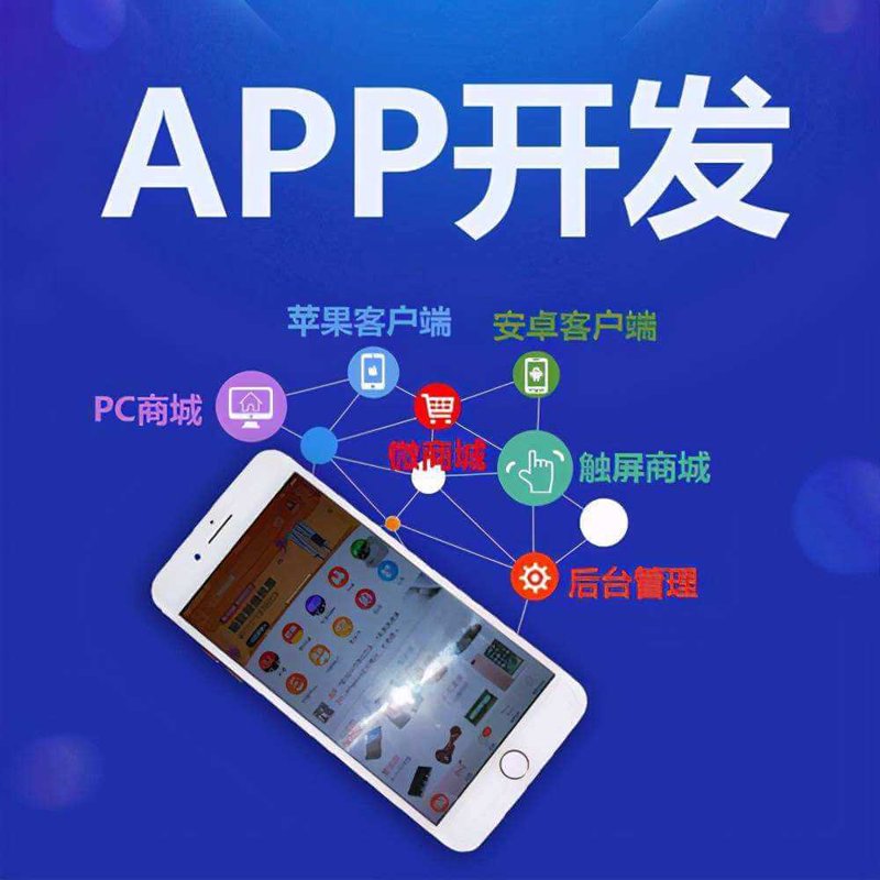 移动端APP开发